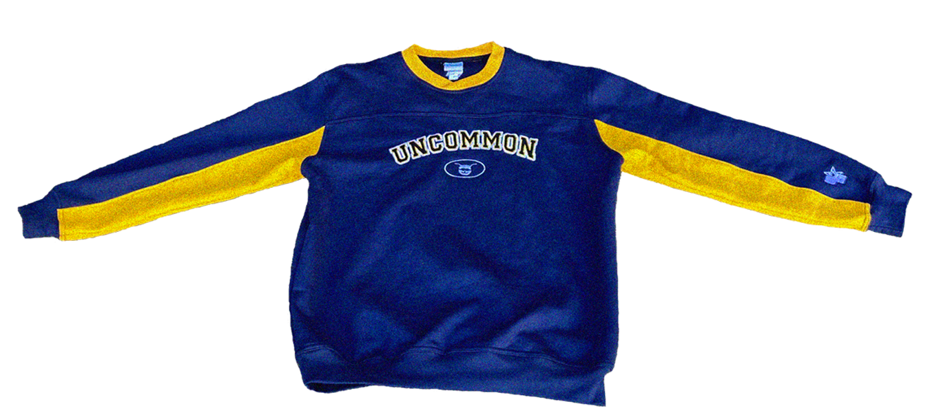 "Michigan" Sweatshirt